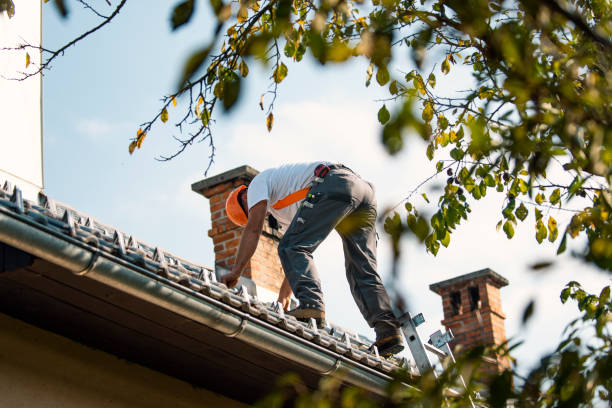 Best Green or Eco-Friendly Roofing Solutions  in Loma Ri, CA