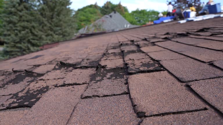 Best Cold Roofs  in Loma Ri, CA